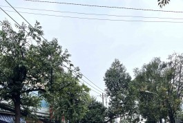Bán Nhà 2 Tầng Hẻm Xe Tải Tránh 80m2_4x20m Đẹp Lung Linh Đường Linh Đông Thủ Đức Chỉ 7,4 tỷ